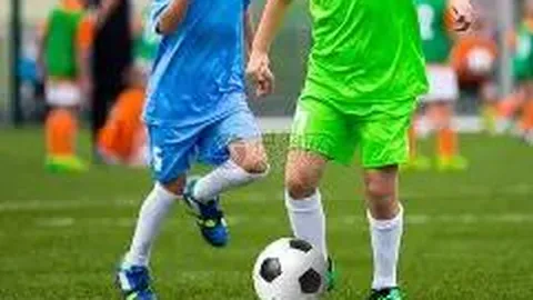 开云APP体育 资讯 095309 bja