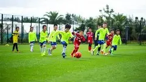 开云APP体育 资讯 095303 5kw