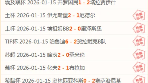 新疆战火燃起辽粤巅峰对决！广东队遭遇重重考验，辽鲁碰撞成关键之战