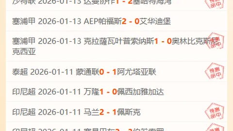 伊万教练：国足迎战澳大利亚需智勇双全，杭州网聚焦比赛